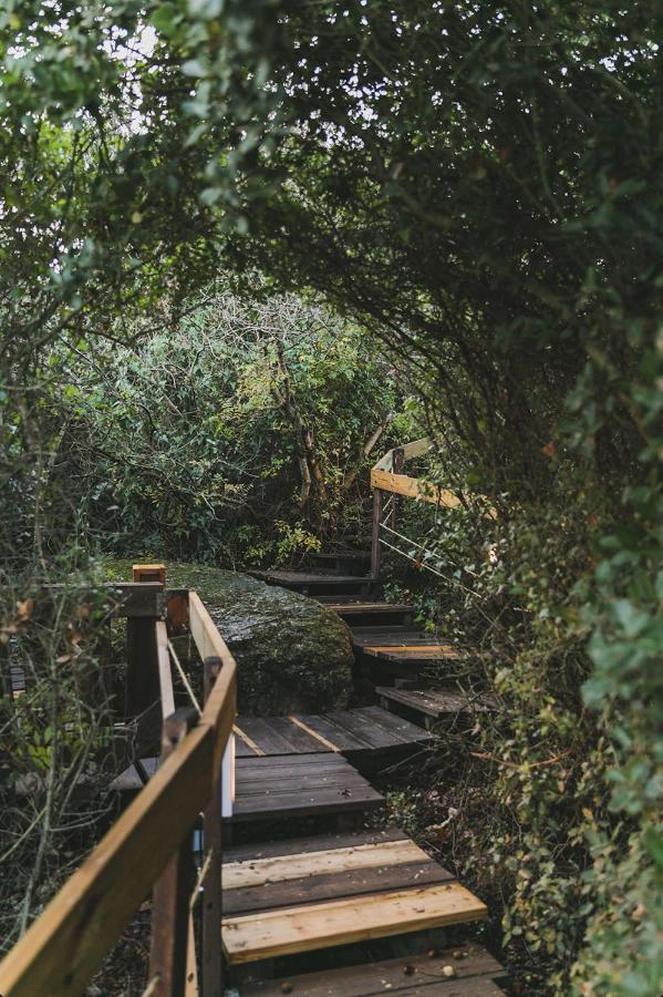 Villa Live In The Woods Mikhmannim Exterior foto