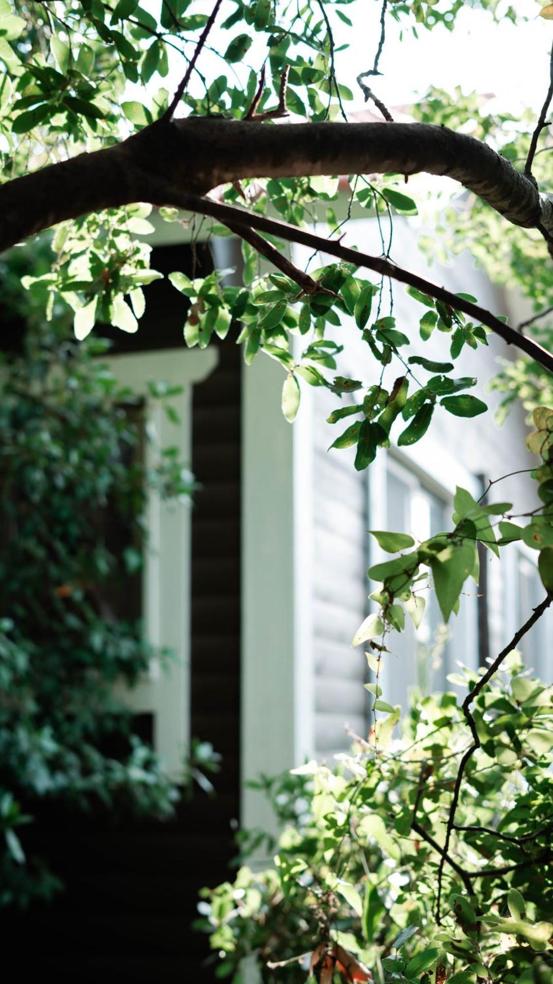 Villa Live In The Woods Mikhmannim Exterior foto